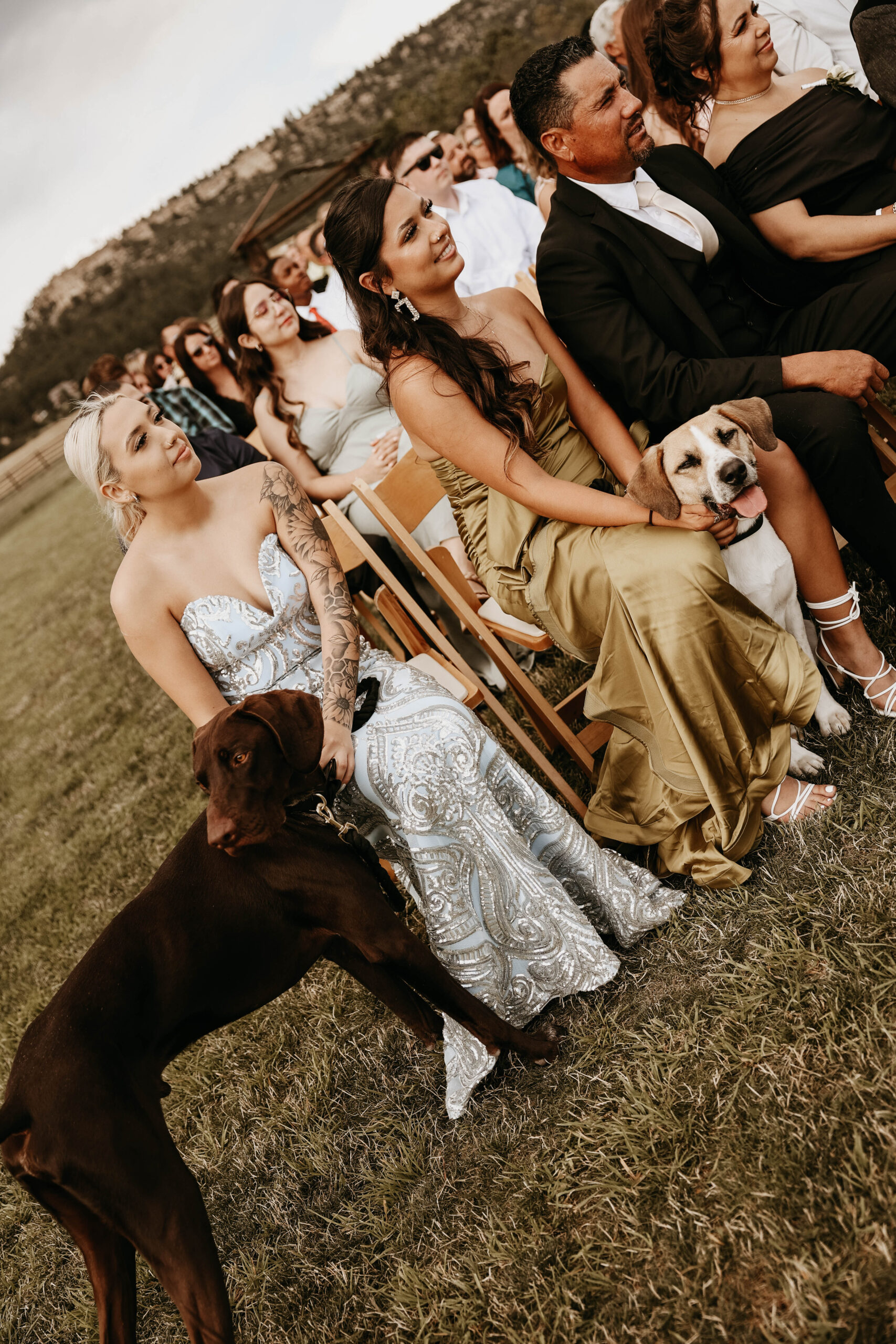 wedding guests at ceremony with the couple's dogs 