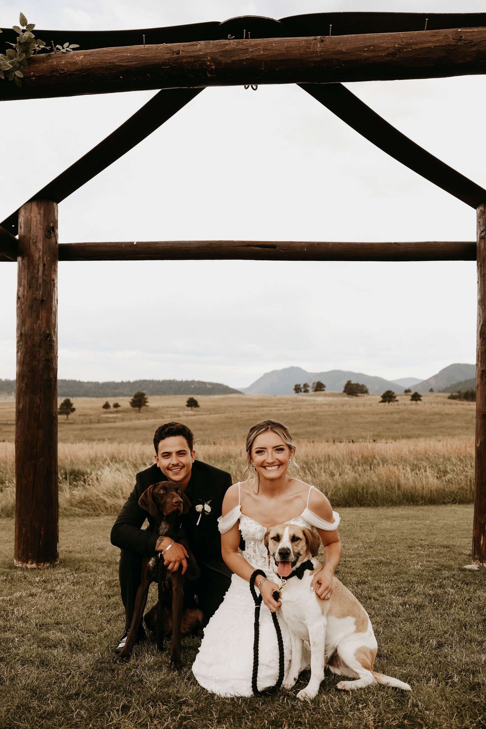bride and groom at the altar with their dogs 