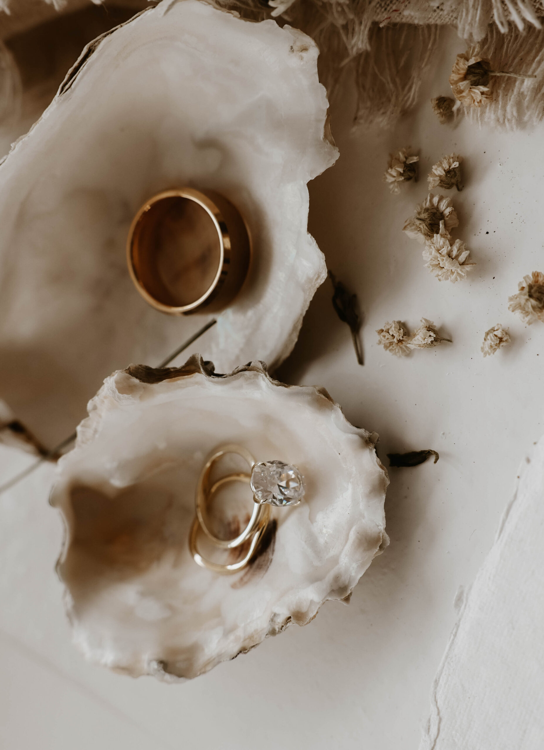 oyster shells holding wedding rings