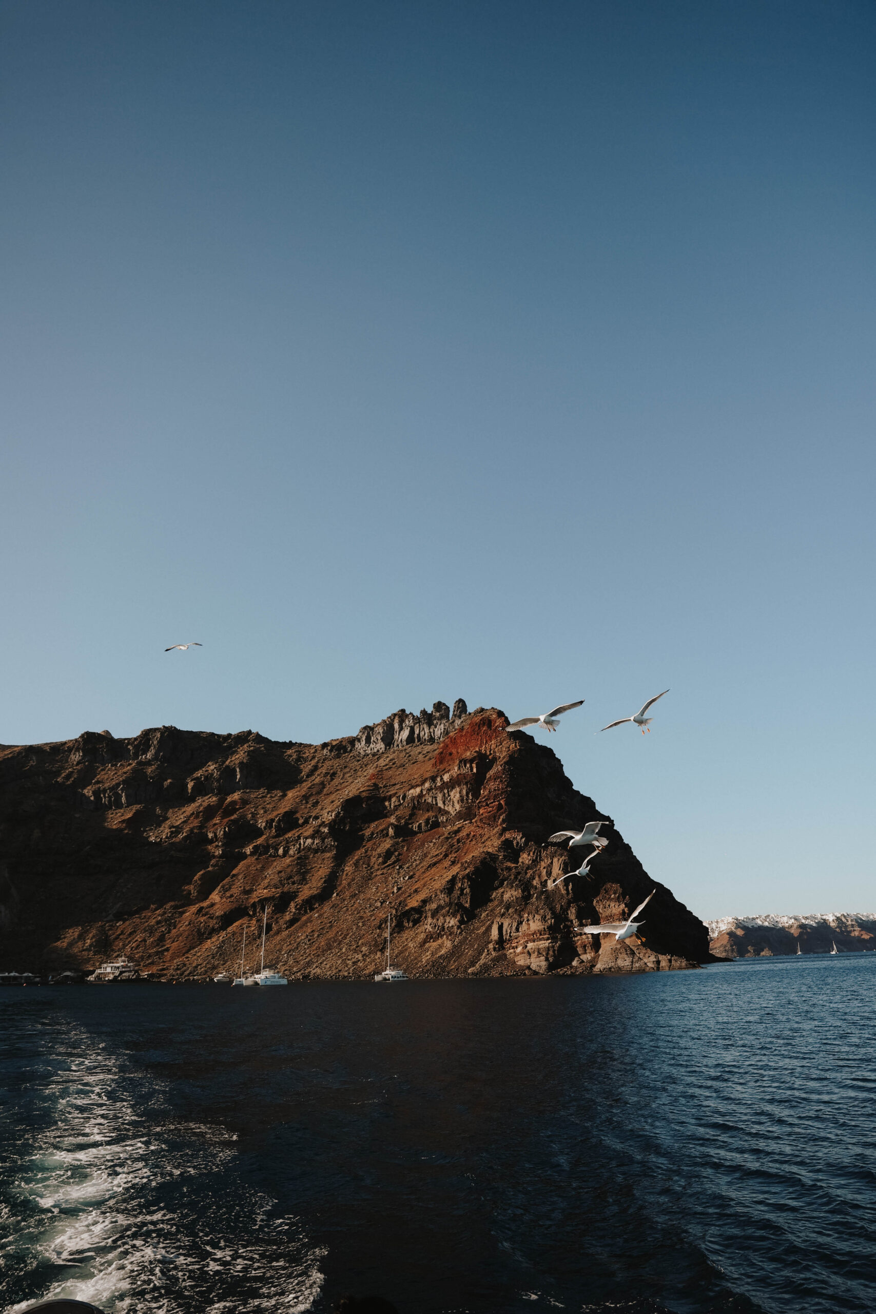 the view from the sailboat, birds, mountains and the sea