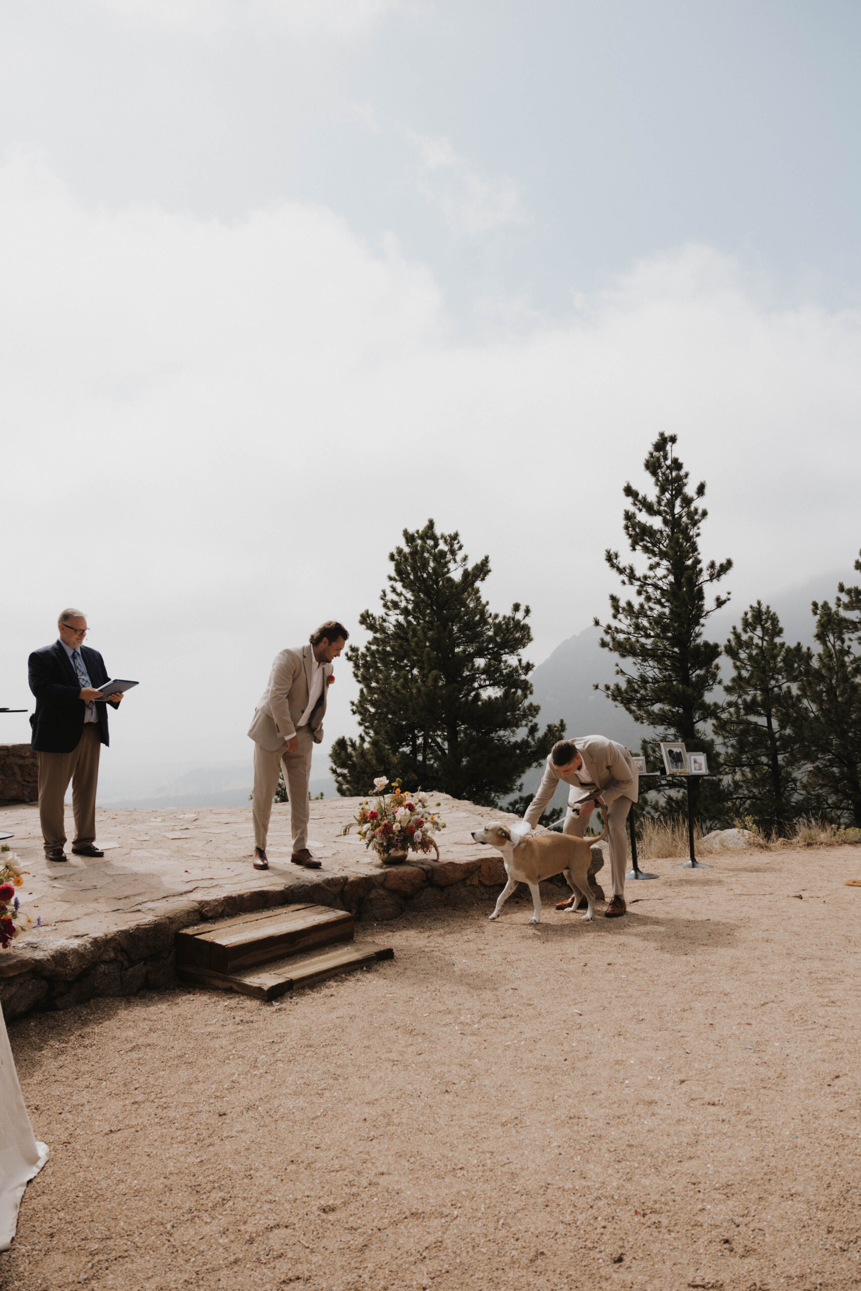 dog going to the altar with the groom 