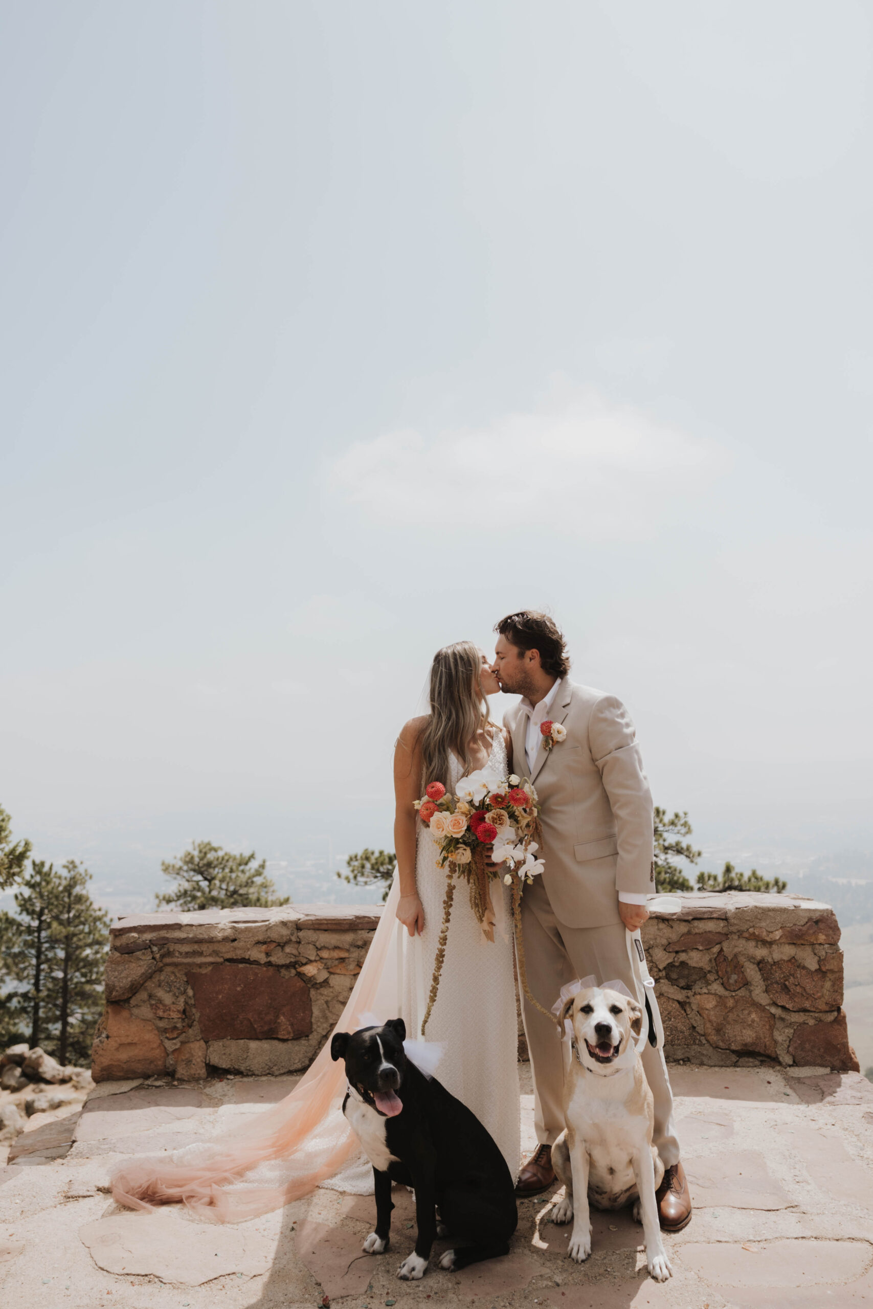 bride and groom portrait with their dogs 