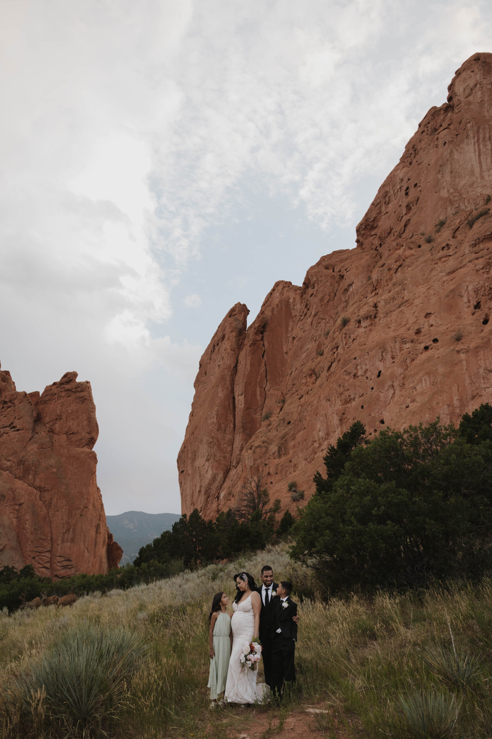 family wedding portrait in colorado 