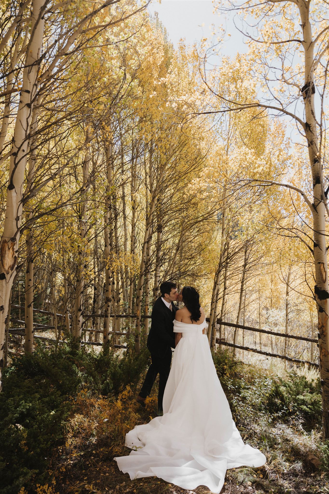 bride and groom portrait in Colorado 