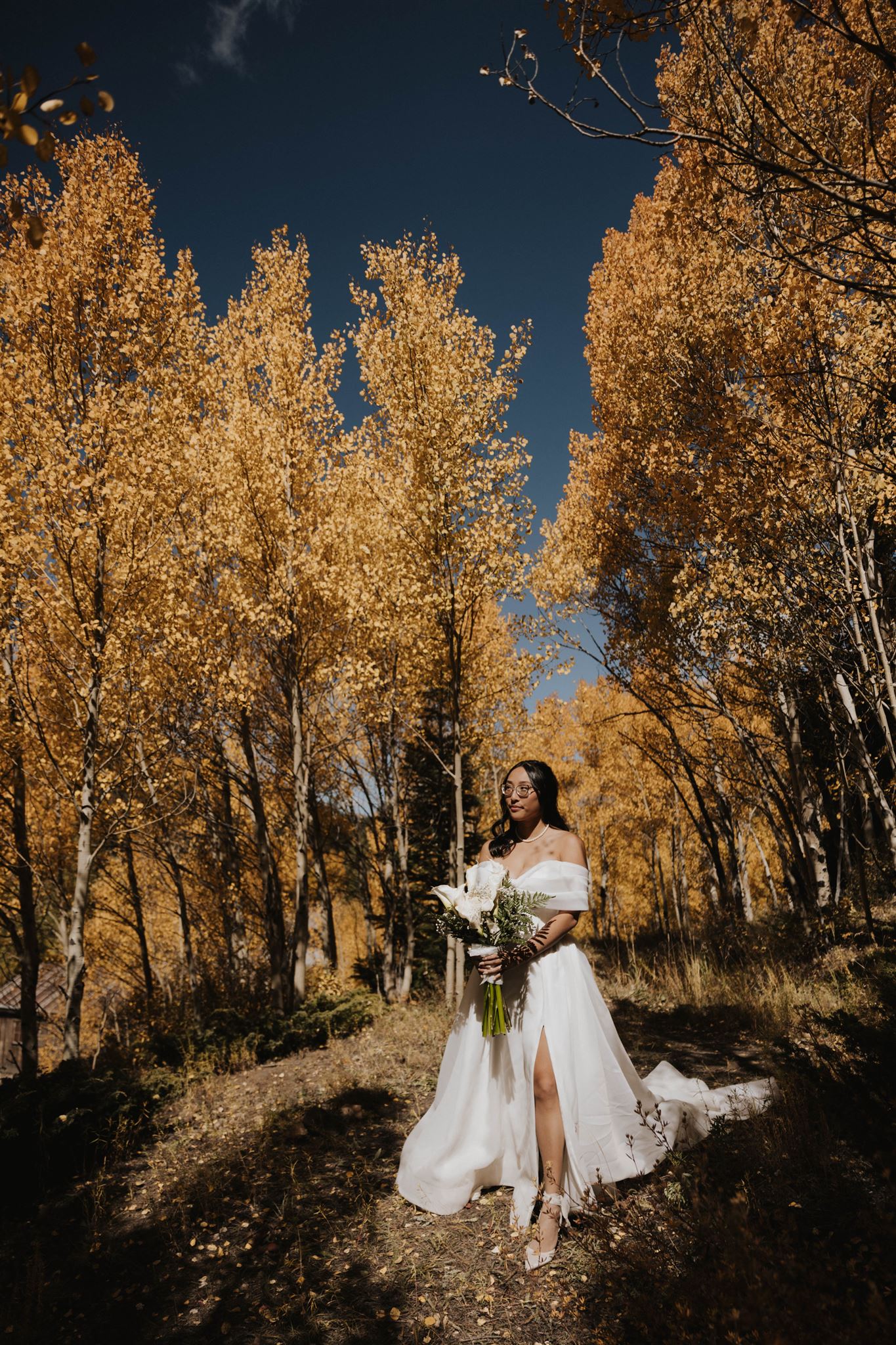 outdoor bride portrait in Colorado 