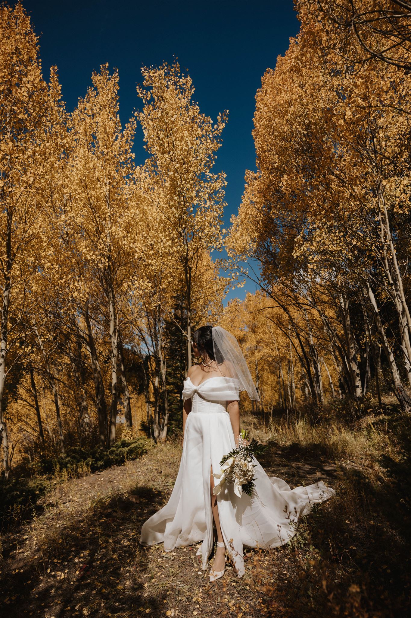 bridal portrait in the fall colored trees