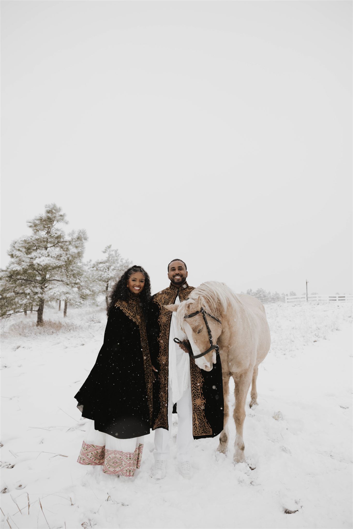 unique engagement photos with a horse in a snowy field 